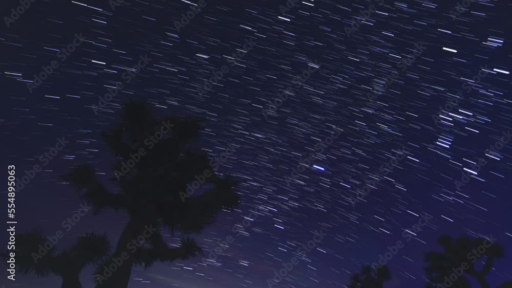 Wall mural Startrails Joshua Tree Above Red Rock Canyon Mojave Desert California USA California USA Astrophotography Time Lapse