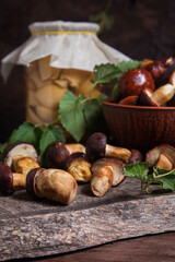 Pile of Imleria Badia or Boletus badius mushrooms commonly known as the bay bolete with canned mushroom in glass jar on vintage wooden background..