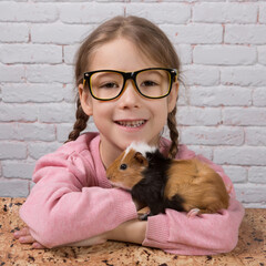 Portrait of a cheerful child girl in glasses and her pet - a guinea pig, against the background of a white wall