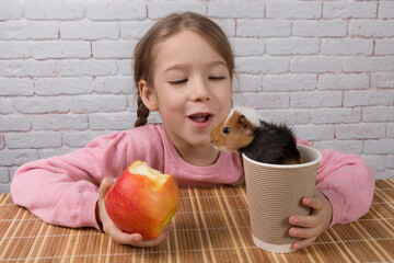 Cheerful child girl with a bitten apple in her hand and a guinea pig sticking out of a cardboard...