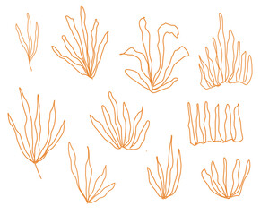 Fototapeta premium hand drawn decorative leaf pattern vector design