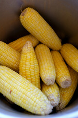 Sweet corn on the cob