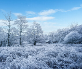 English Winter Landscape Scene