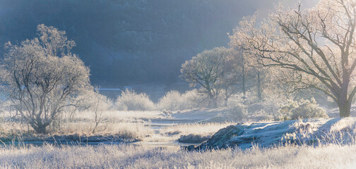 English Winter Landscape Scene