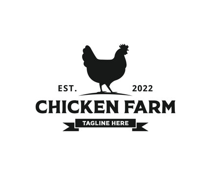 Chicken logo. Chicken farms logo design. Rooster and Chicken poultry farm logo design template