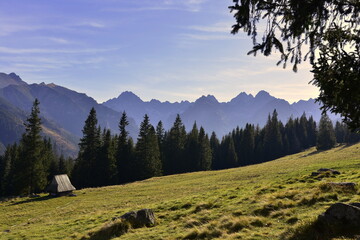 Rusinowa Polana, Tatry, TPN, Park, szlaki górskie, wypoczynek, wędrówki,  © Albin Marciniak