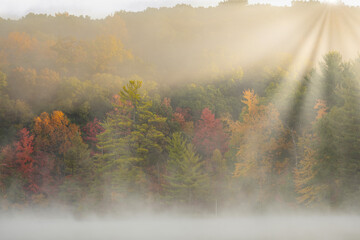 Foggy autumn landscape at sunrise of the shoreline of Hall Lake with sunbeams, Yankee Springs State Park, Michigan, USA
