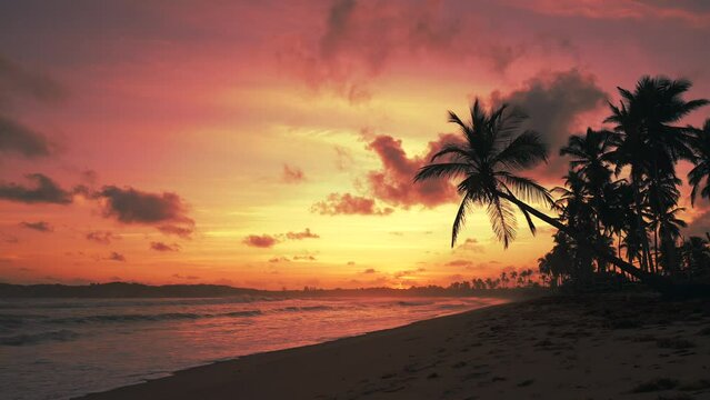 Evening on the beach. Silhouettes of palm trees and beautiful orange sky after sunset
