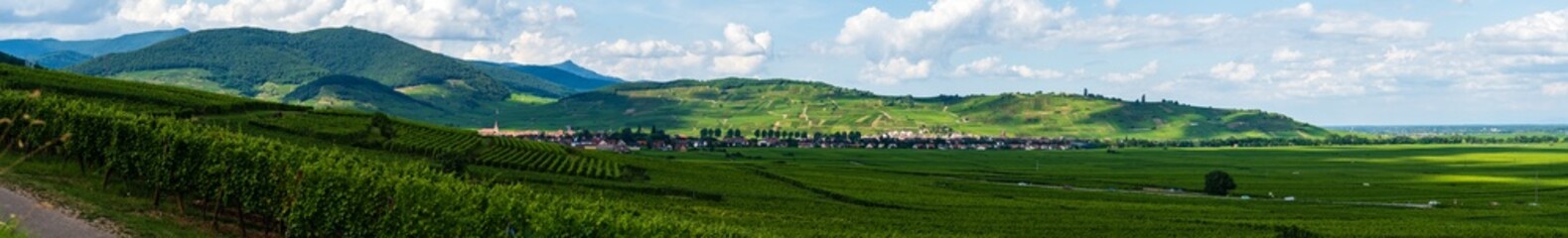 Fototapeta na wymiar Plaine viticole d'Alsace, Alsace, Grand Est, France