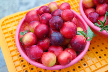 Naklejka na ściany i meble Basket full of fresh plums