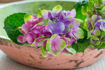 rosa Holzschale mit Hortensienblüte