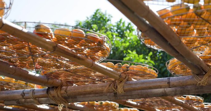 Dry Persimmon fruit production under sunshine in factory