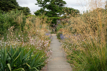footpath through a garden with plants and flowers on both sides