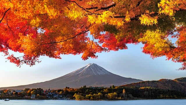 山梨県の秋の河口湖は見事な紅葉と富士山のコントラスト