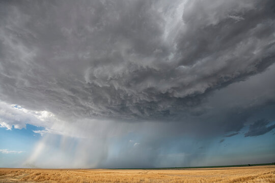 Storm clouds gather over the prairies, with rainfall in the distance; North Dakota, United States of America