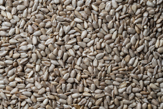 Grey raw sunflower seeds in background, closeup, top view. Purified seeds of sunflower