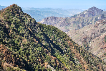Sequoia National Park