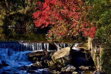Ein kleiner Wasserfall von herbstlich gefärbten Gebüsch eingerahmt