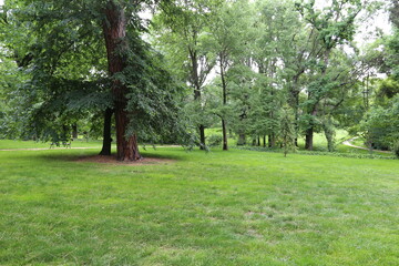 Parque 