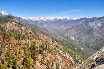 Yosemite National Park