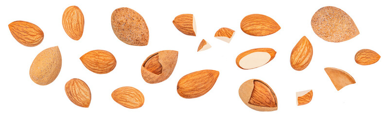 Flying Almond isolated. Almonds on white background. Almond nut set. Collection. Pattern.