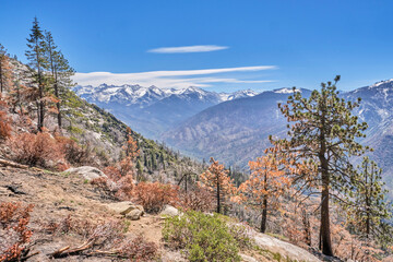 yosemite national park