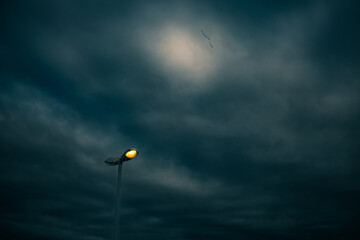 yellow streetlight in front of dark sky