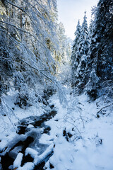 winter creek in Eriz, Switzerland