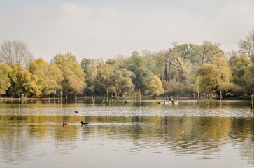 A panoramic view of the lake in autumn.