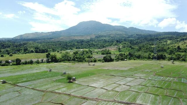 The view from the drone of Mount Seulawah Agam, expanse of rice fields and green trees.