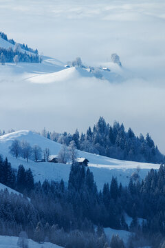 sea of fog in winter seen from Eriz towards Thun