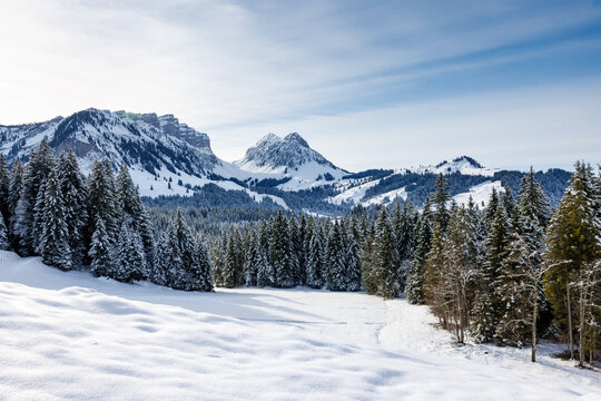 Burst and Sichle seen from Eriz in winter