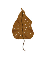 Colorful detailed algae. Illustration isolated on white background.
