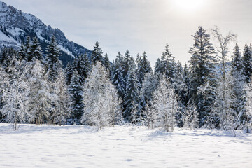 frozen winter landscape in Eriz
