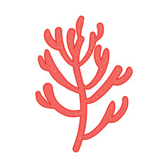 Obraz premium Colorful detailed algae. Illustration isolated on white background. 