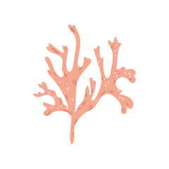 Colorful detailed algae. Illustration isolated on white background.
