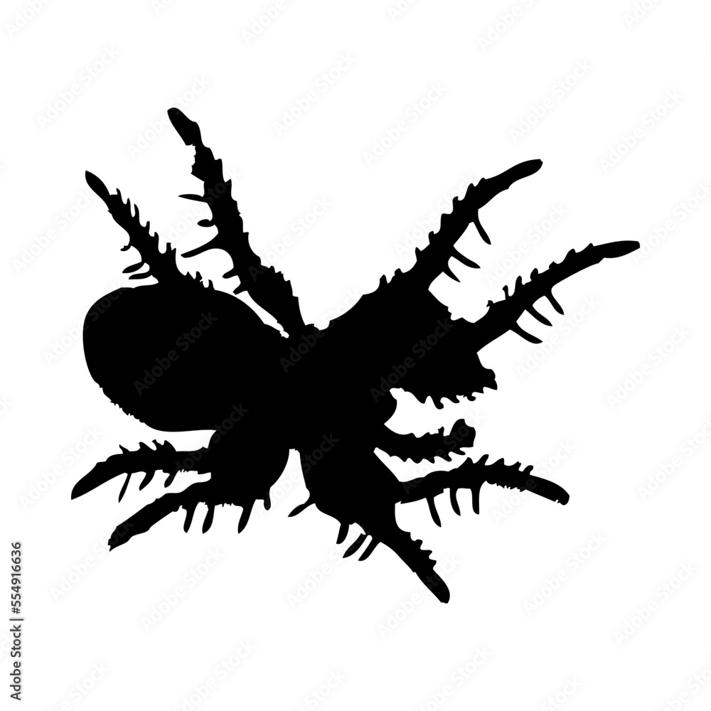 Poster Spider Silhouette