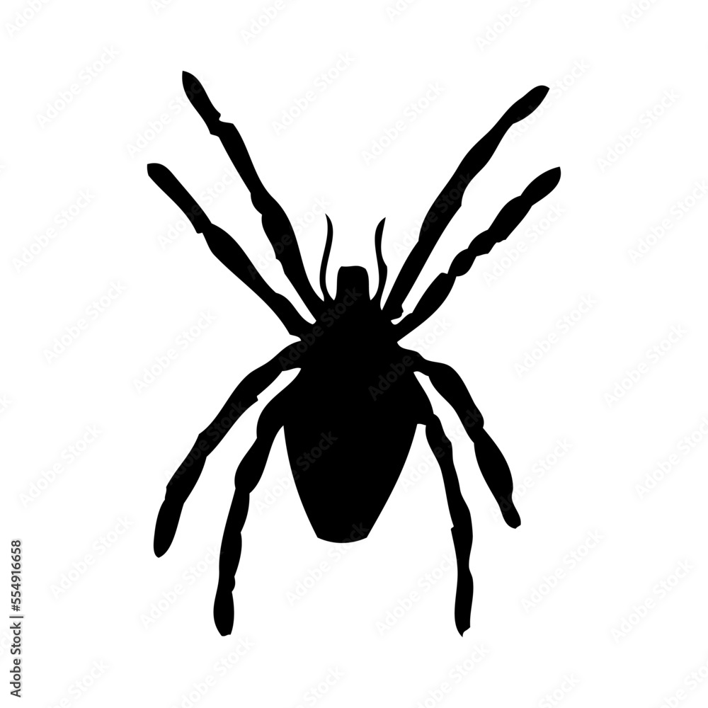 Canvas Prints Spider Silhouette