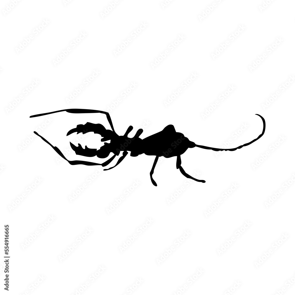 Wall mural scorpion silhouette