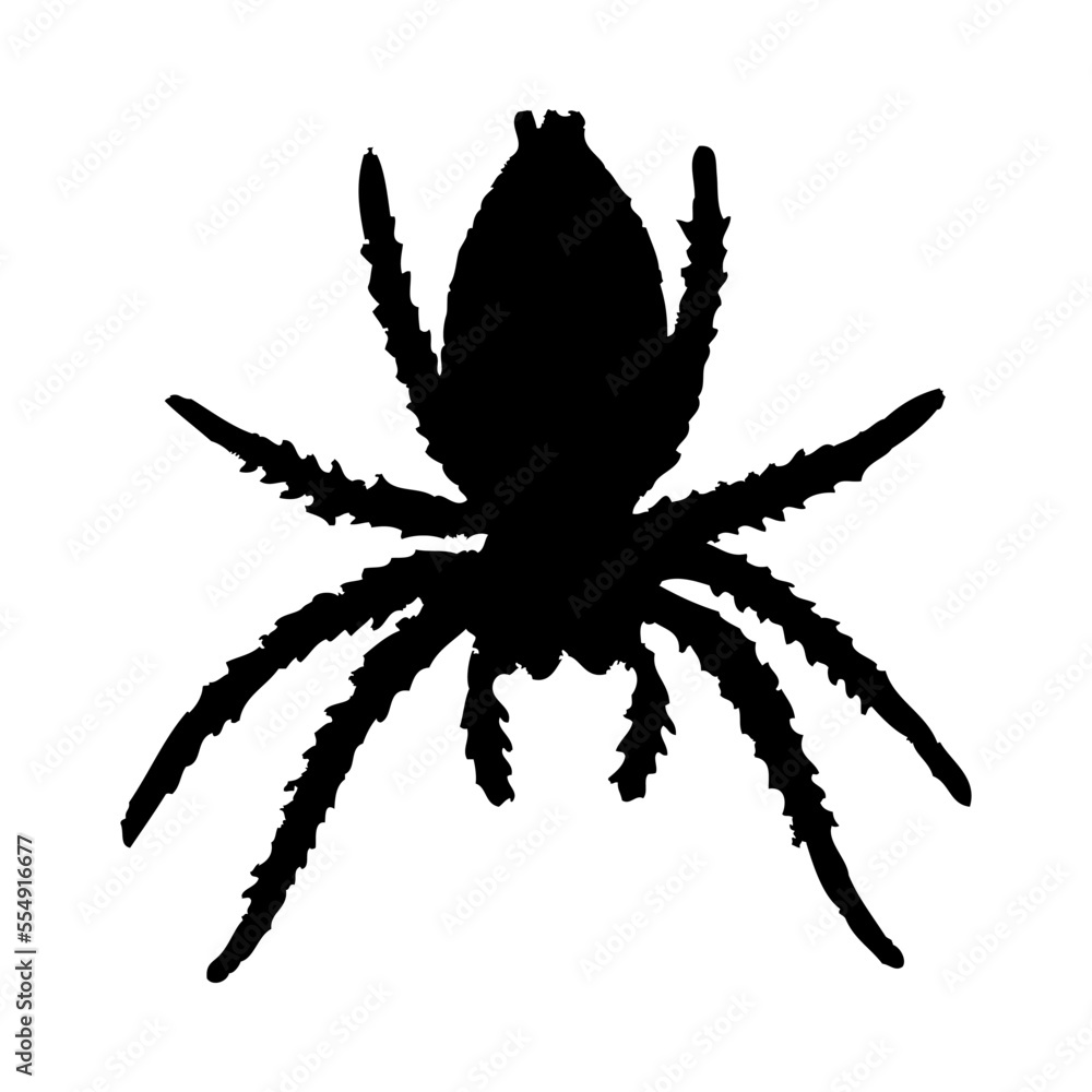 Poster Spider Silhouette