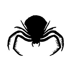 Spider Silhouette