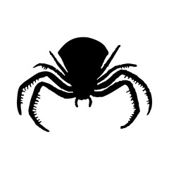 Spider Silhouette