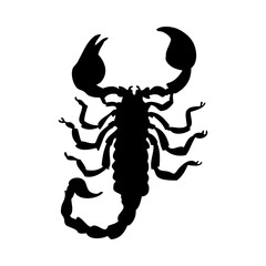 Scorpion Silhouette