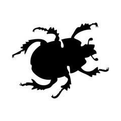 Beetle Silhouette