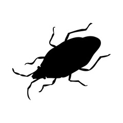 Bug Silhouette