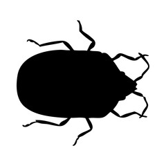 Bug Silhouette