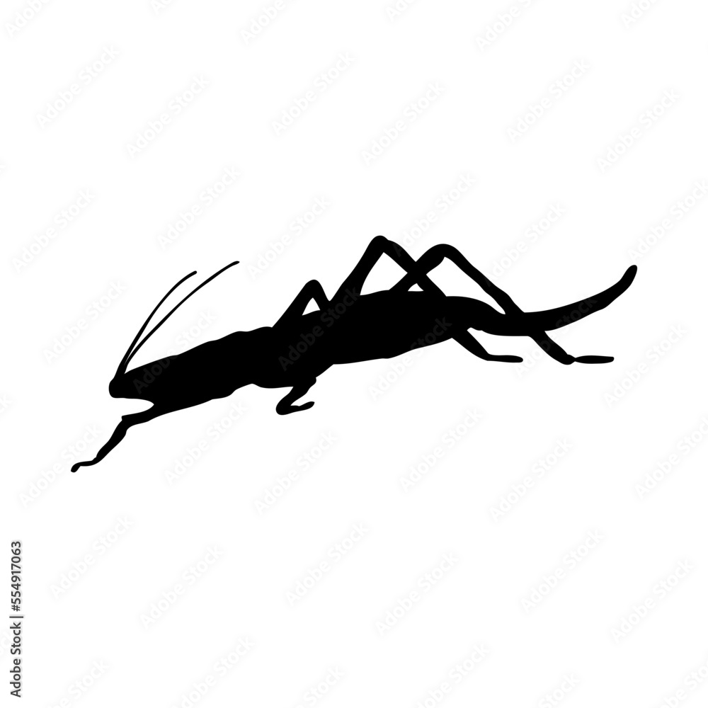 Wall mural Grasshopper Silhouette