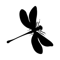 Dragonfly Silhouette © Konovalov Pavel