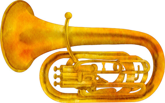 watercolor tuba music instrument