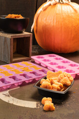 Pumpkin dog treats in bone and paw print shapes. 